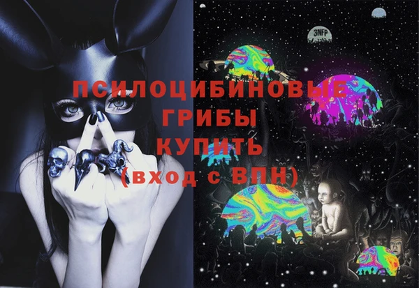 винт Богданович