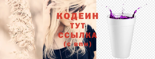хмурый Богородицк