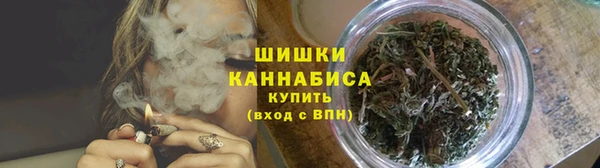 хмурый Богородицк