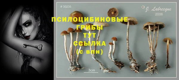 jwh Белокуриха
