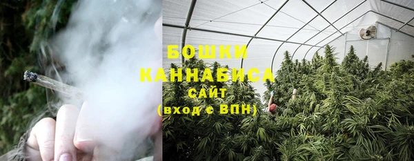 винт Богданович