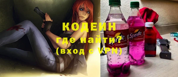 хмурый Богородицк