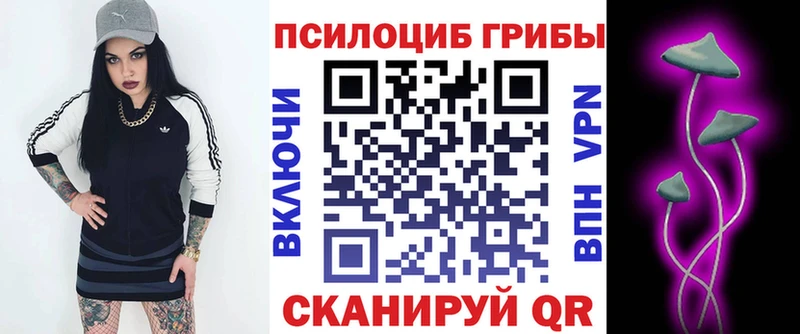 KRAKEN ссылки  Вельск  Псилоцибиновые грибы MAGIC MUSHROOMS 